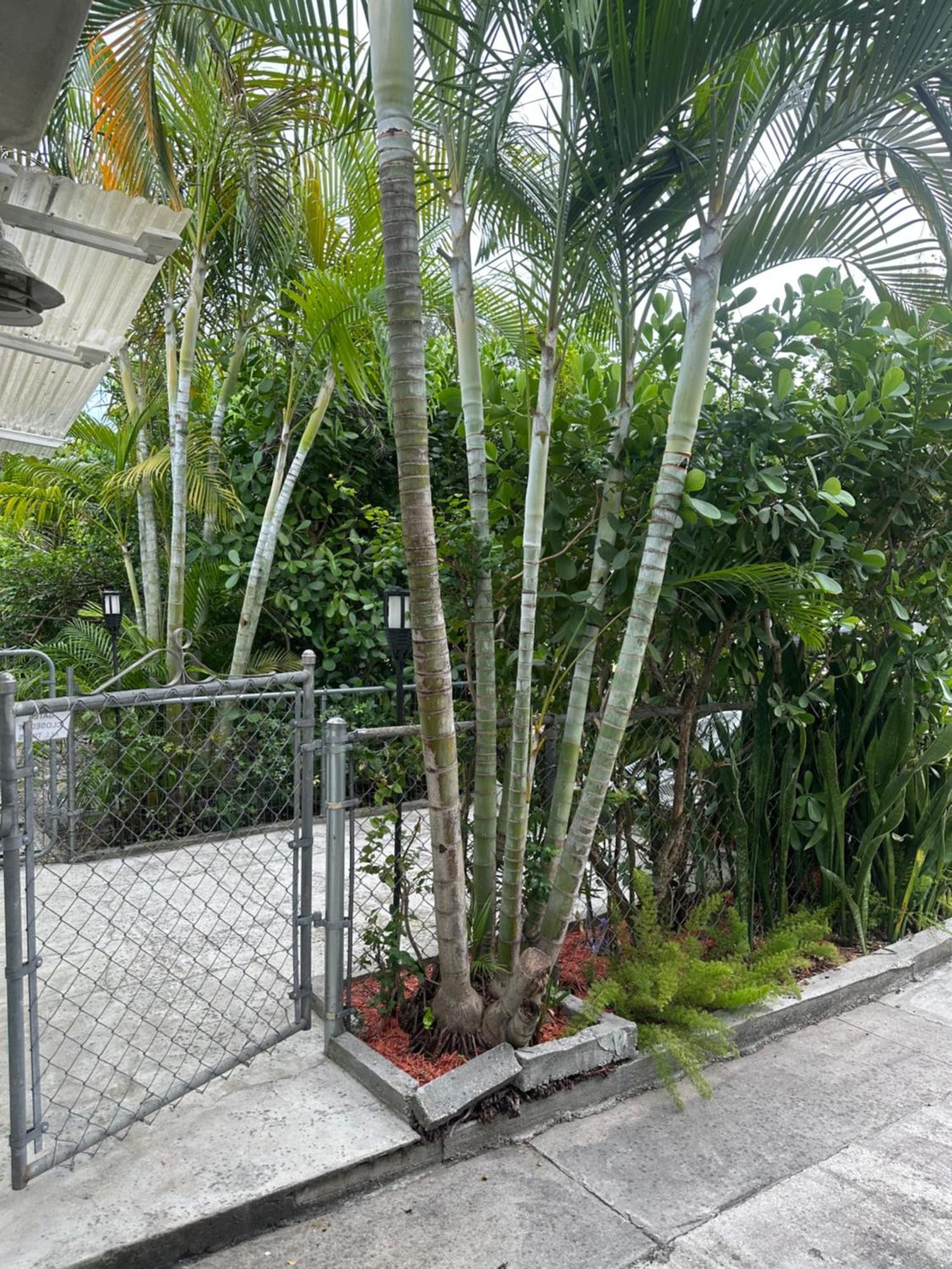 Miami Private Guest House Miami Springs Exterior photo
